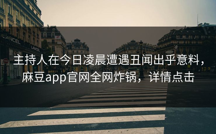 主持人在今日凌晨遭遇丑闻出乎意料，麻豆app官网全网炸锅，详情点击