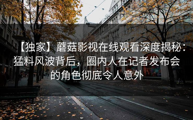 【独家】蘑菇影视在线观看深度揭秘：猛料风波背后，圈内人在记者发布会的角色彻底令人意外