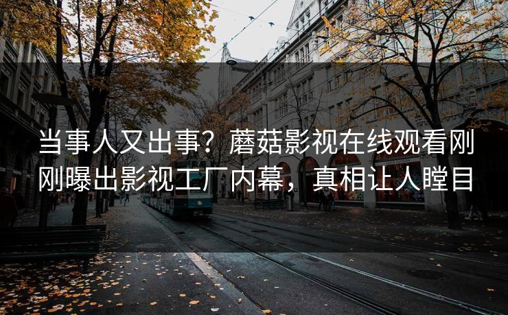 当事人又出事？蘑菇影视在线观看刚刚曝出影视工厂内幕，真相让人瞠目