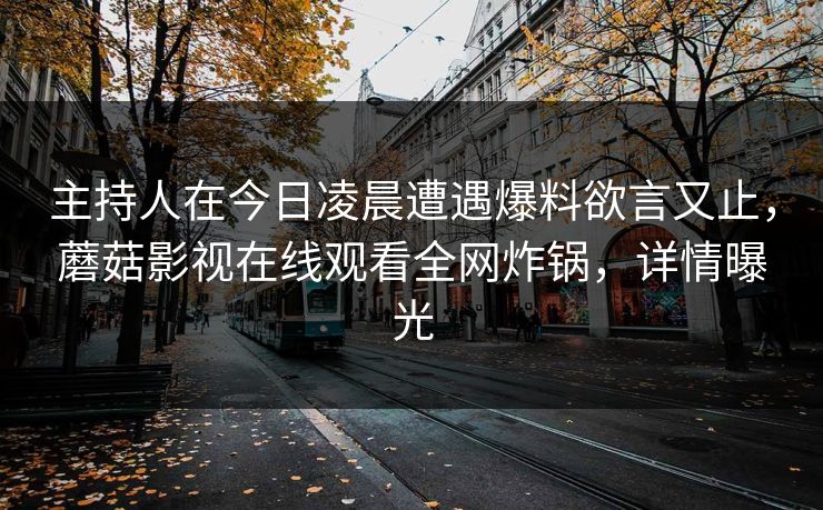 主持人在今日凌晨遭遇爆料欲言又止，蘑菇影视在线观看全网炸锅，详情曝光